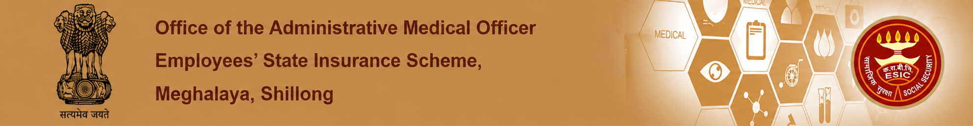Office of the Administrative Medical Officer, Employees' State Insurance Scheme, Meghalaya, Shillong